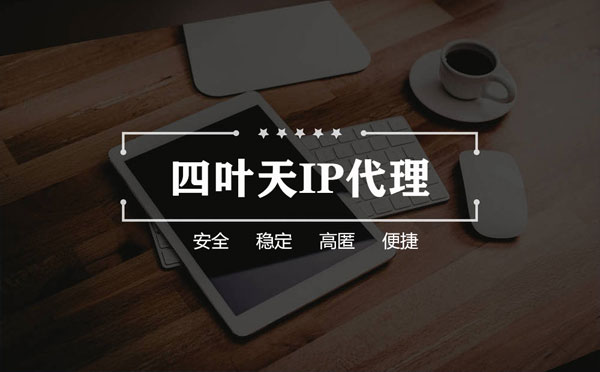 【亳州代理IP】如何快速搭建代理IP？怎么检查代理的效果？