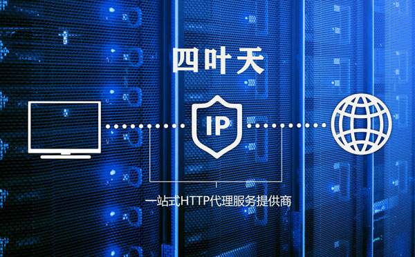 【亳州代理IP】高质量IP代理的最重要因素?